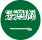 沙特