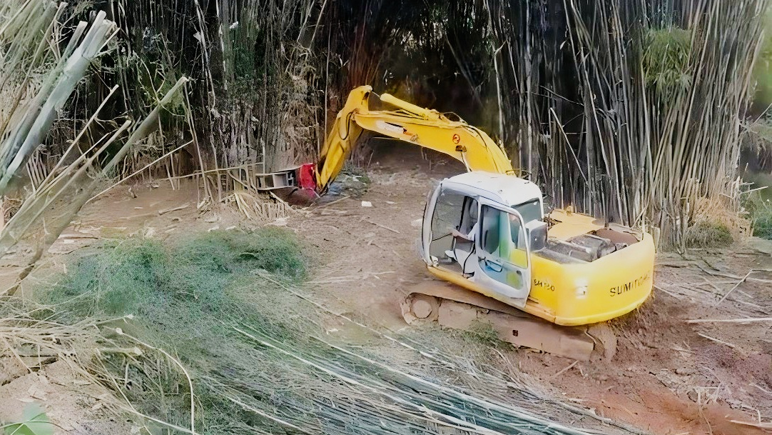 Efficient Bamboo Cutting Solution: Tree Shear for Excavators
