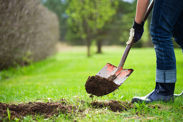 Shovel digging a hole